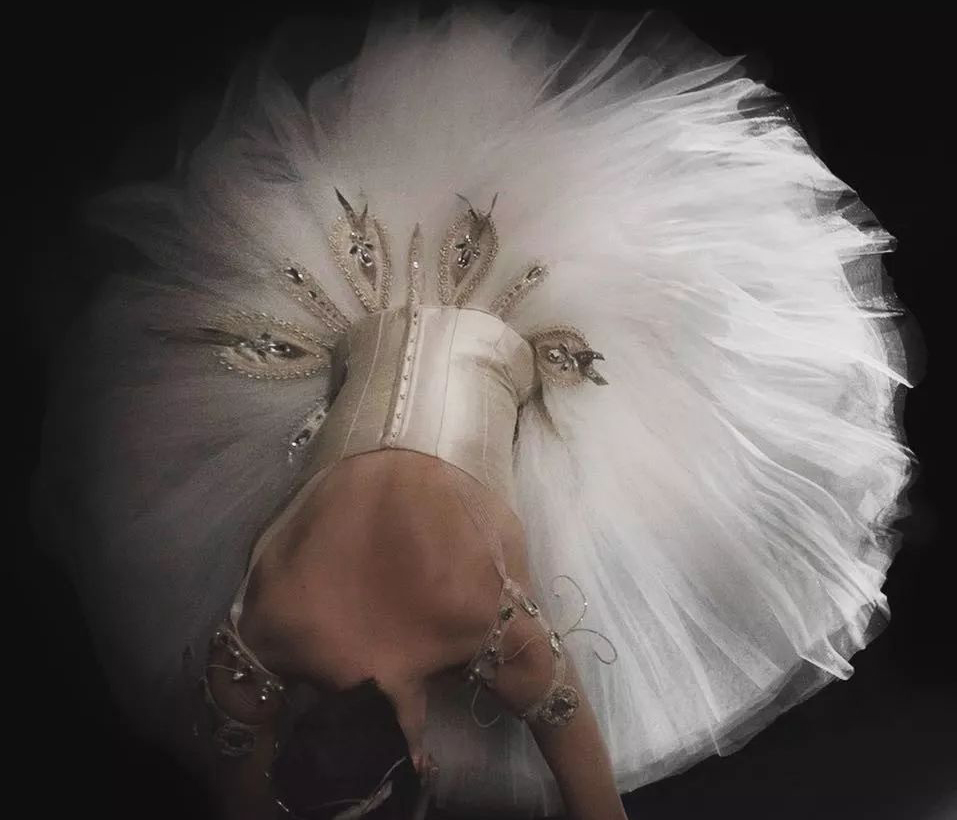 Entdecken Sie die bezaubernde Welt der Ballettröcke