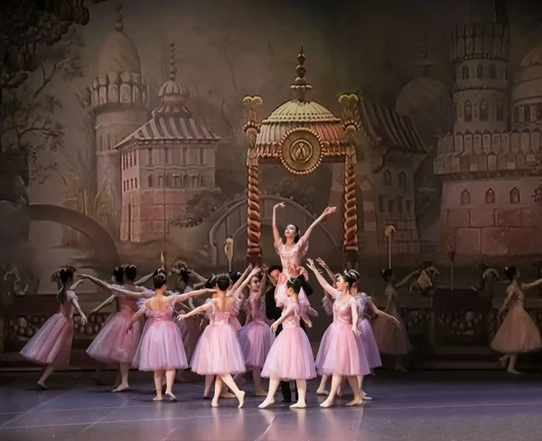 Zusammenarbeit mit einer renommierten japanischen Ballettausbildungseinrichtung