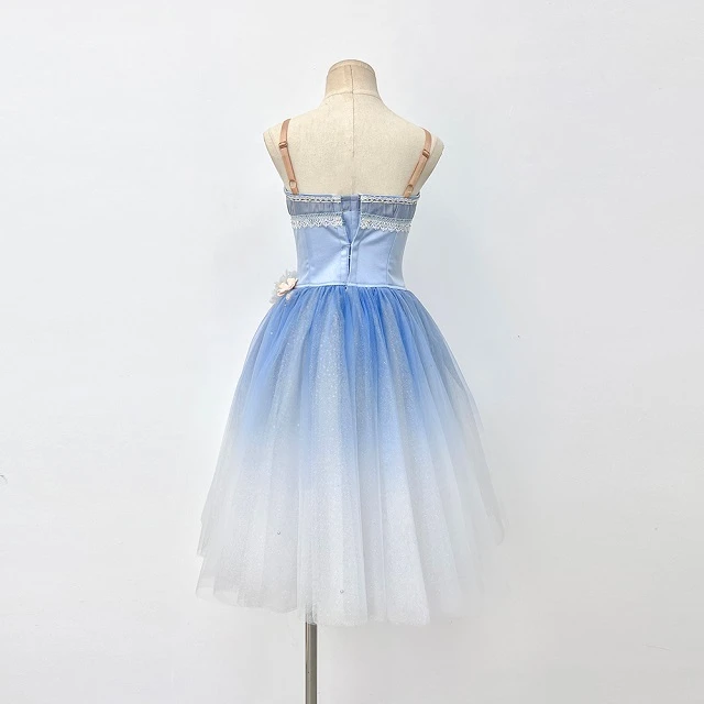 Blaues Ombre-Blumen-Ballett-Tutu-Kleid | R1328
