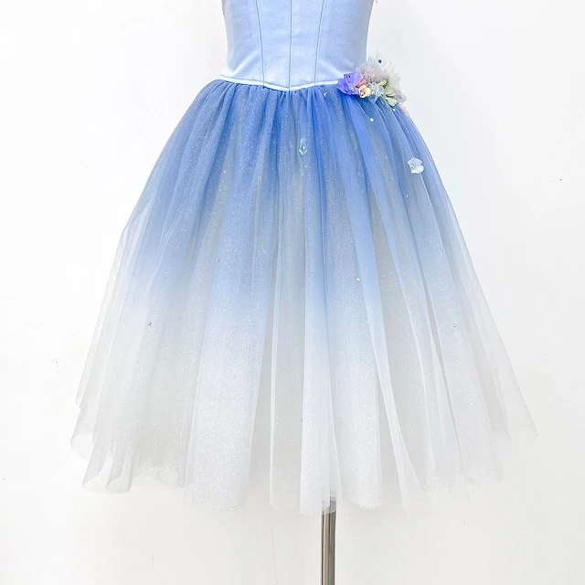 Blaues Ombre-Blumen-Ballett-Tutu-Kleid | R1328