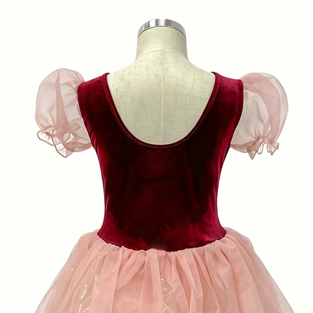 Girls Wine Red with Pink Character Ballet Dress | XGZ0250