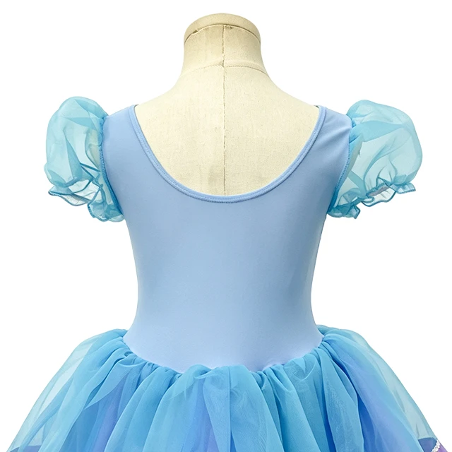 Light Blue Girls Puff Sleeve Princess Ballet Tutu Dress | XGZ0257