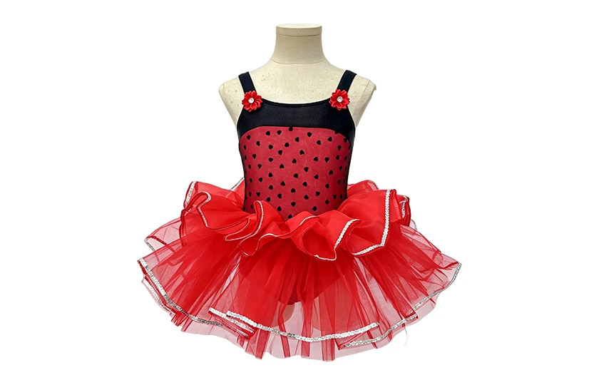 Red Heart Mesh Girls Tap & Jazz Dance Tutu Dress | XGZ0290