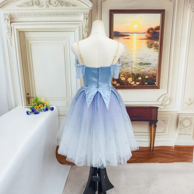 Light Blue Gradient Romantic Professional Fairy Ballet Costume with Floral & Butterfly Decor|BLC2502